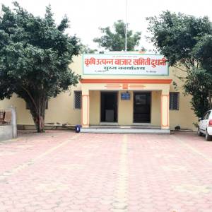 WhatsApp_Image_2025-08-04_at_11.14.28_AM_1_original