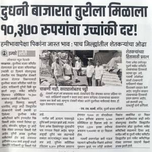 Paper_Cutting_2_original